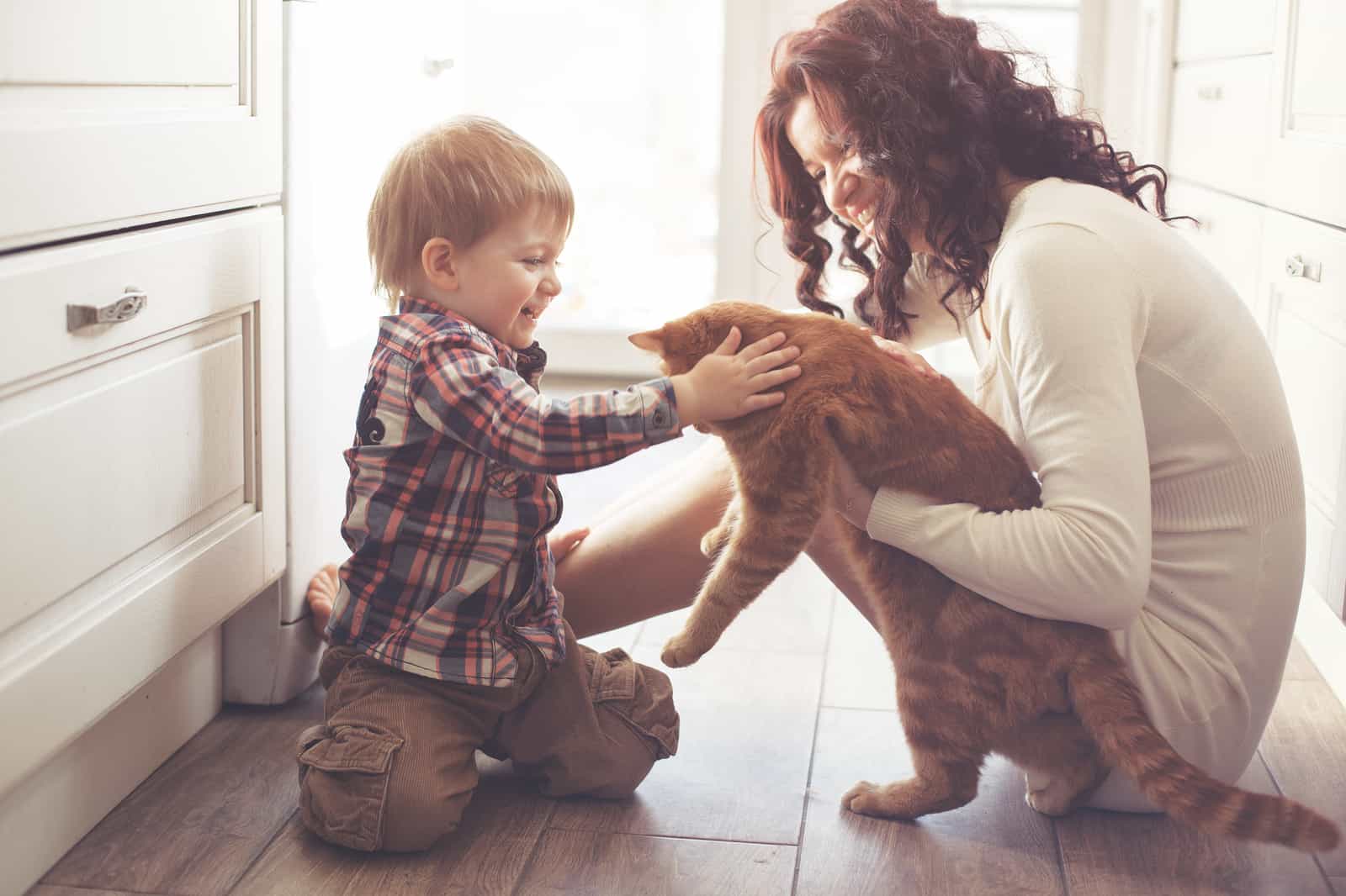 How Becoming A Foster Parent For Animals Offers Lasting Benefits 