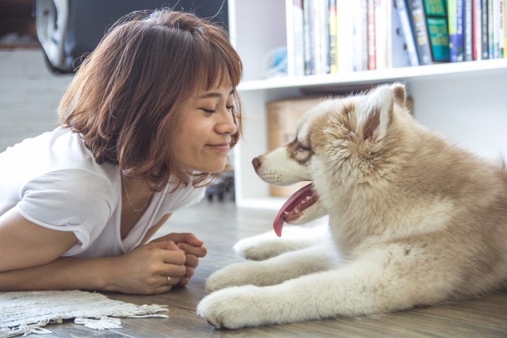 A woman with short brown hair wearing a white shirt lies on a wooden floor, smiling and nose-to-nose with a fluffy, cream-colored husky puppy. Both appear happy and comfortable indoors, with a white bookshelf in the background.