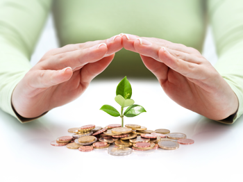 A small plant is growing from a pile of coins on a white surface. Two hands are forming a protective dome over the plant, symbolizing growth, investment, and protection. The background is neutral, focusing attention on the plant and coins.